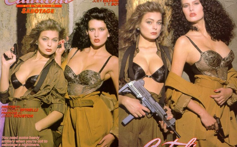 Catalina Five-0: Sabotage (1990) (USA) [Download]