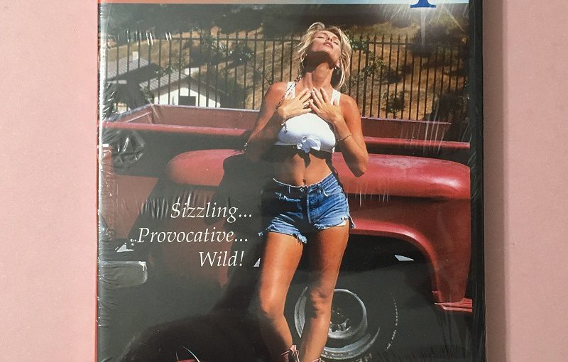 Fantasies 4 (1993) (Rare) (Softcore) [Download]
