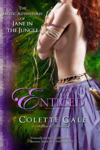 Enticed: An Erotic Sacrifice by Colette Gale [E-Book] [Download]